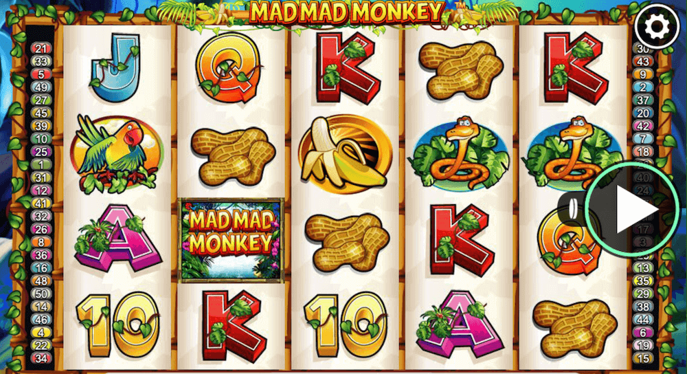 Mad Mad Monkey