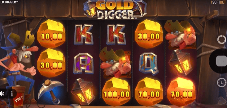 gold digger 1
